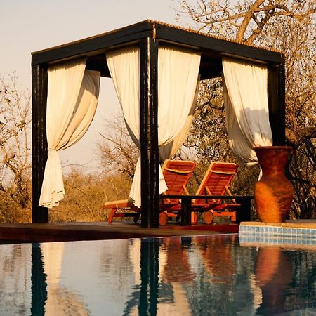 The Baobab Bush Lodge And Villa Hoedspruit Zewnętrze zdjęcie