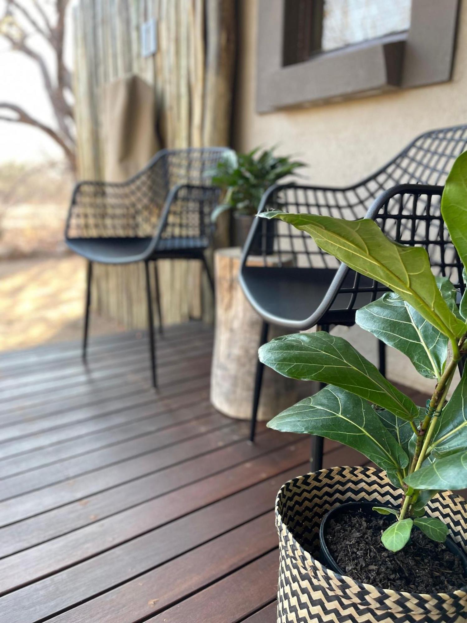 The Baobab Bush Lodge And Villa Hoedspruit Zewnętrze zdjęcie