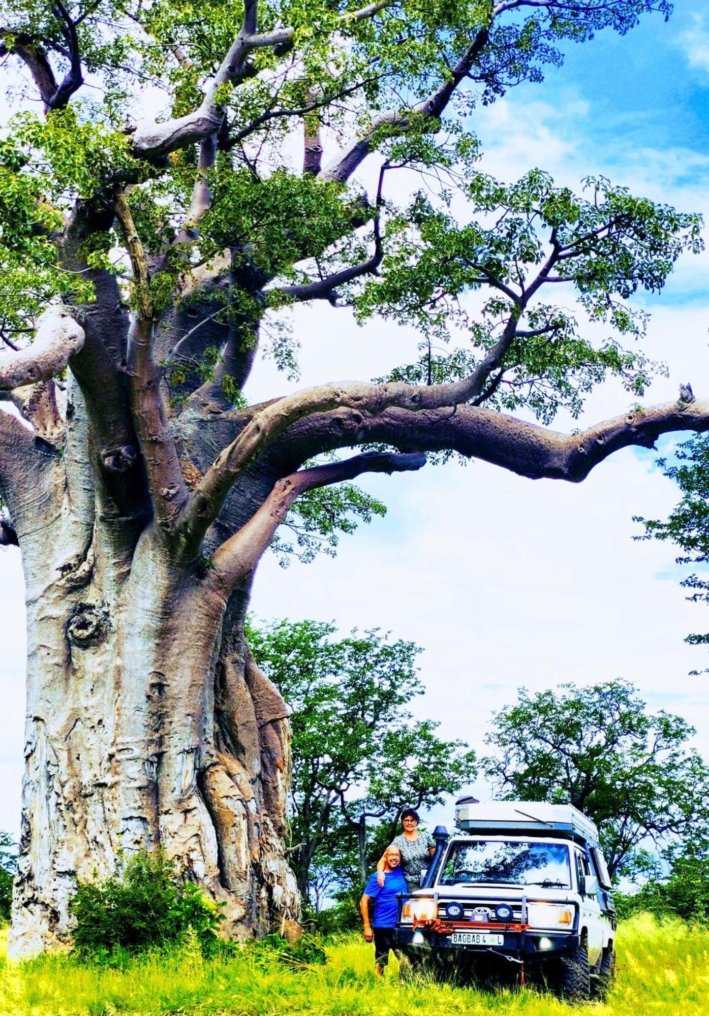 The Baobab Bush Lodge And Villa Hoedspruit Zewnętrze zdjęcie