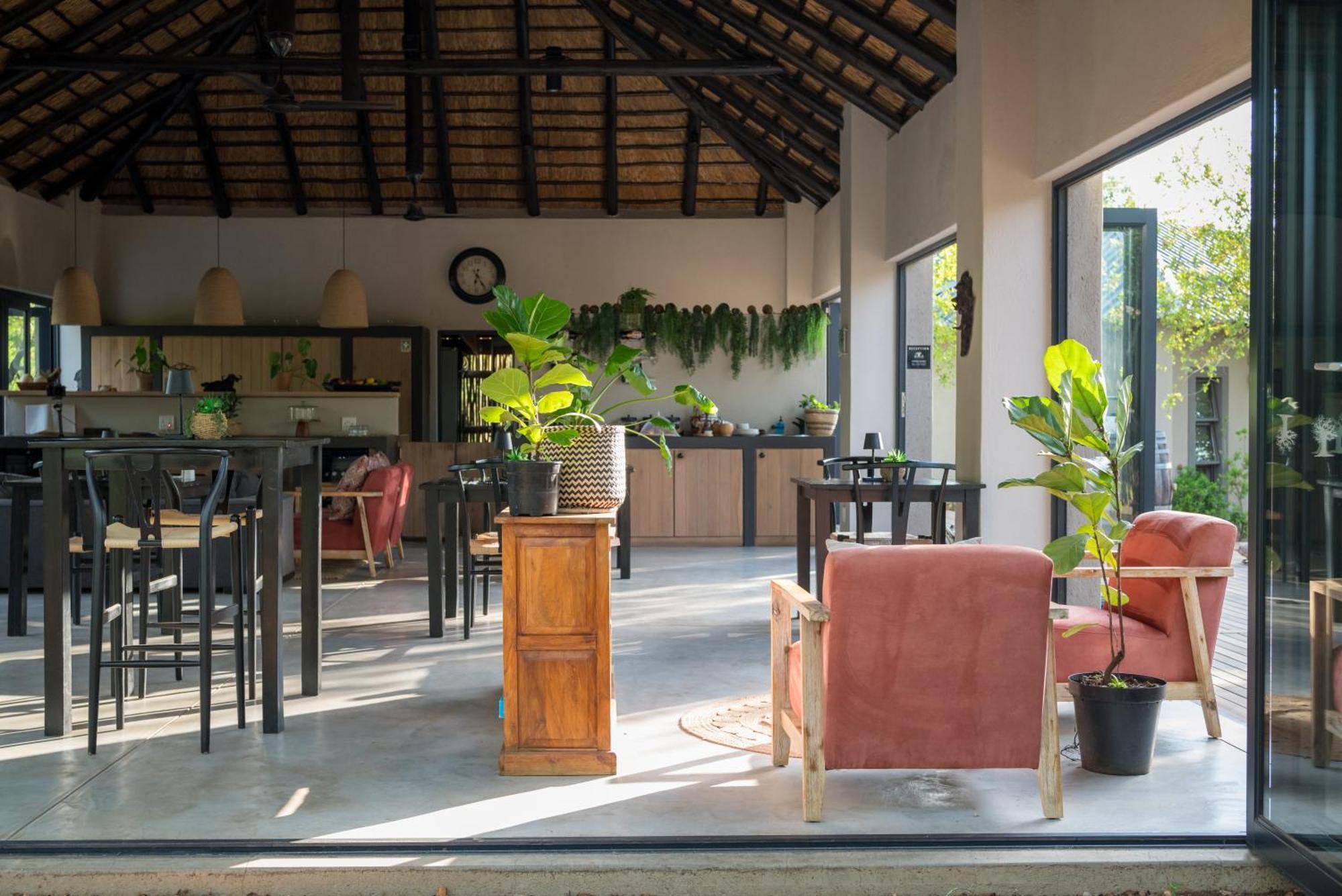 The Baobab Bush Lodge And Villa Hoedspruit Zewnętrze zdjęcie